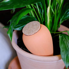 Charger l'image dans la galerie, Olla TERRACOTTA