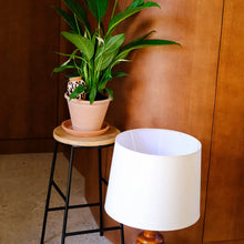 Charger l'image dans la galerie, Olla Léopard