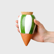 Charger l'image dans la galerie, Olla Rayé vert et blanc