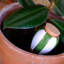 Charger l'image dans la galerie, Olla Rayé vert et blanc