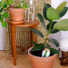 Charger l'image dans la galerie, Olla Rayé vert et blanc