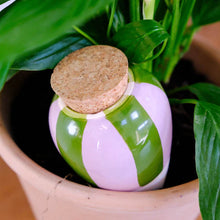 Charger l'image dans la galerie, Olla Rayé vert et lilas