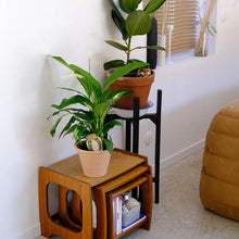 Charger l'image dans la galerie, Olla Rayé vert et lilas