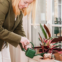 Charger l'image dans la galerie, Olla Tigre