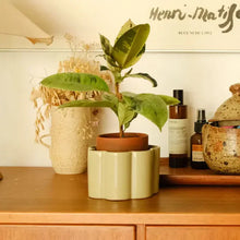 Charger l'image dans la galerie, Pot autonome Paula - Vert sauge