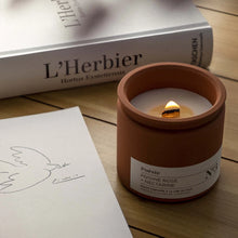 Charger l&#39;image dans la galerie, N°3 Pivoine Rose + Nectarine - BOUGIE POESIE

