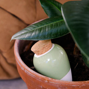 Olla vert