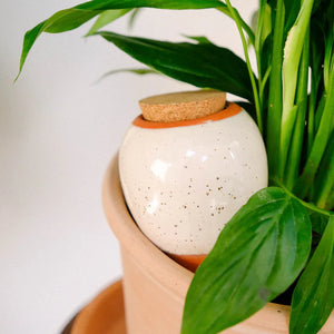 Olla blanc grainé
