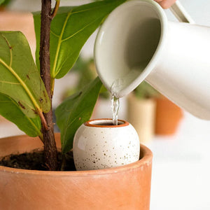 Olla blanc grainé