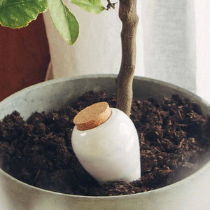 Olla blanc
