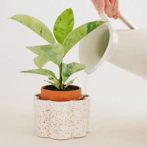 Pot autonome Paula - Blanc grainé