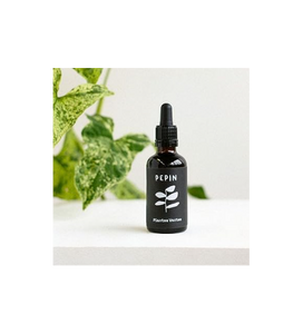 Sérum nourrissant - Plantes Vertes